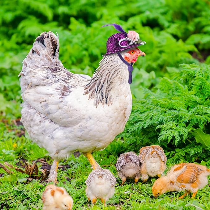 6 Sombreros para Gallinas, Accesorios Divertidos para Mascotas Pequeñas miniatura 5