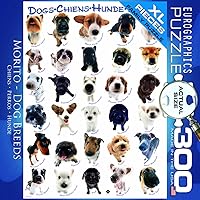 Vista 390 de Mapa de Europa