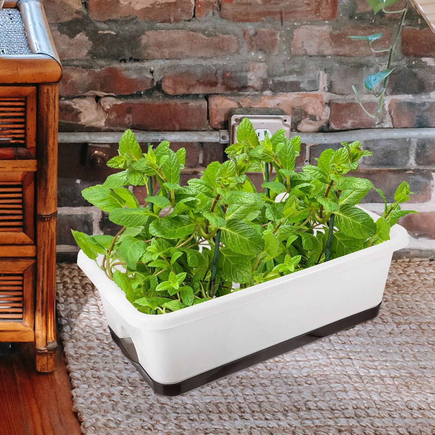 Wakauto 2pcs Rectangular Window Box Planters with Tray for Indoor and Outdoor Succulent and Herb Gardening, White Wide Low Profile Flower Pots for Balcony and Home Planting