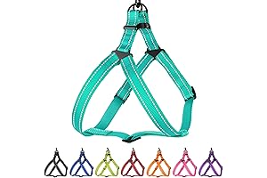Nylon Dog Harness: The Epitome of Comfort and Safety for Your Canine Companion