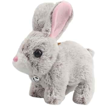 y⭐︎Rabbit 71LNlzfkUzL._UF350,350_QL80_.jpg