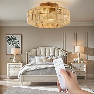 DWVO Caged Ceiling Fan with Lights