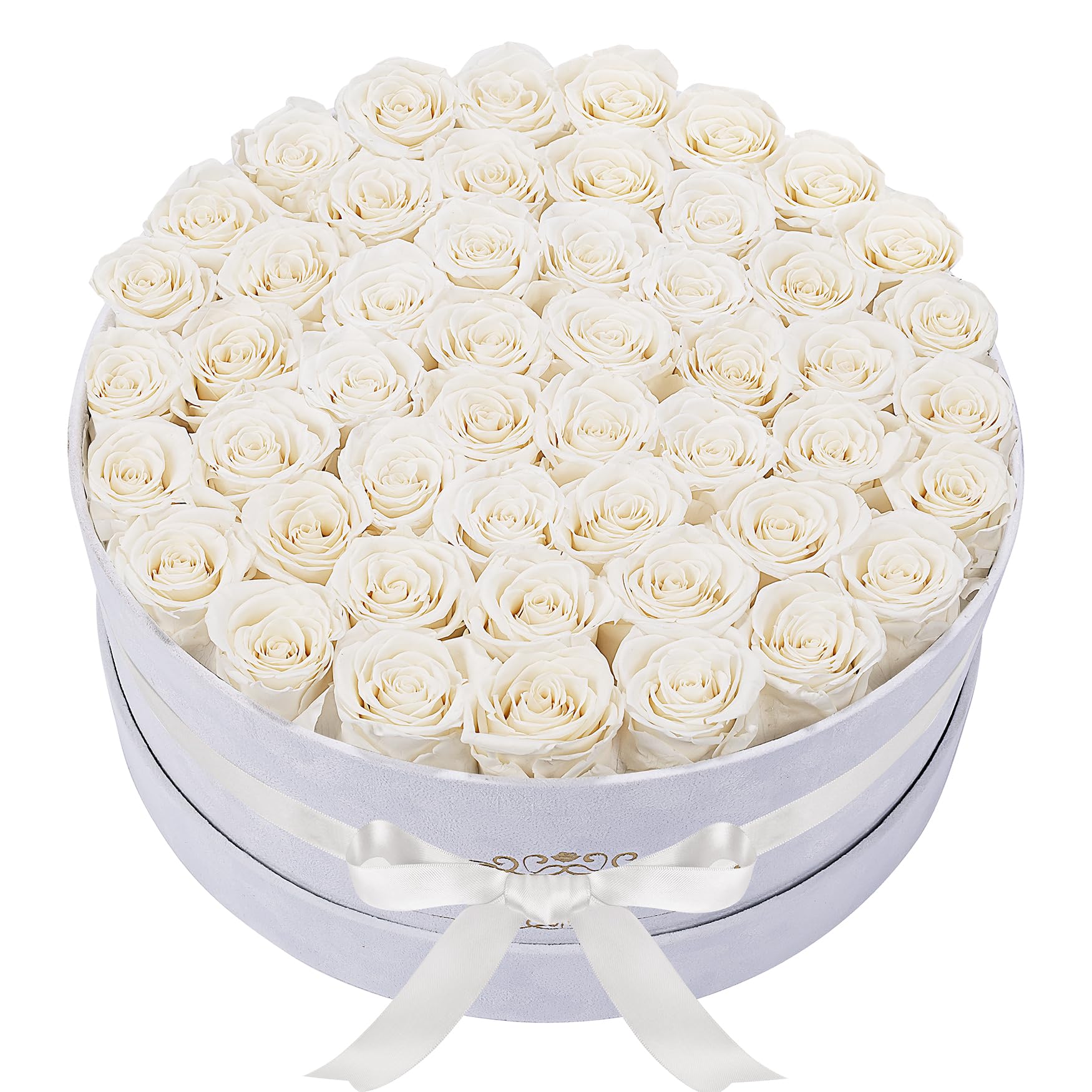 Perfectione Roses 50-Piece Preserved Roses in Velvet Box