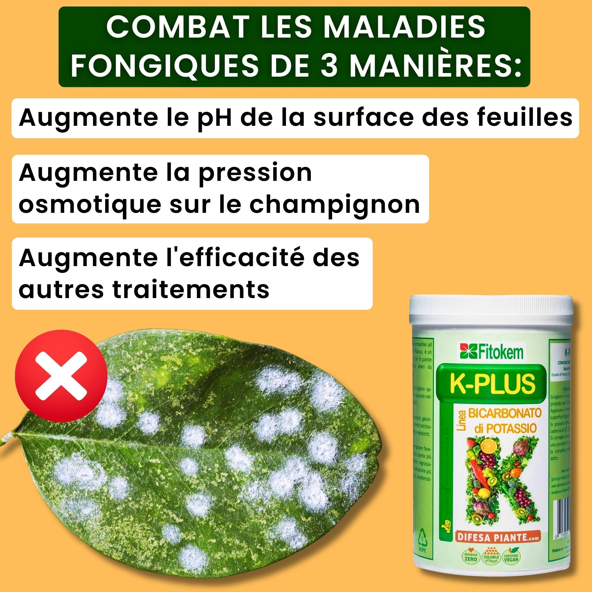 FITOKEM K-Plus 1KG - Engrais et Fertilisants Bicarbonate de Potassium Pur pour Plantes Intérieur et Exterieur et Agriculture, Engrais Universel Potasse Jardin, Potager, Arbres Fruitiers