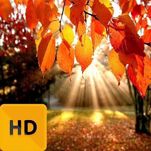 Best Autumn HD FREE Wallpaper