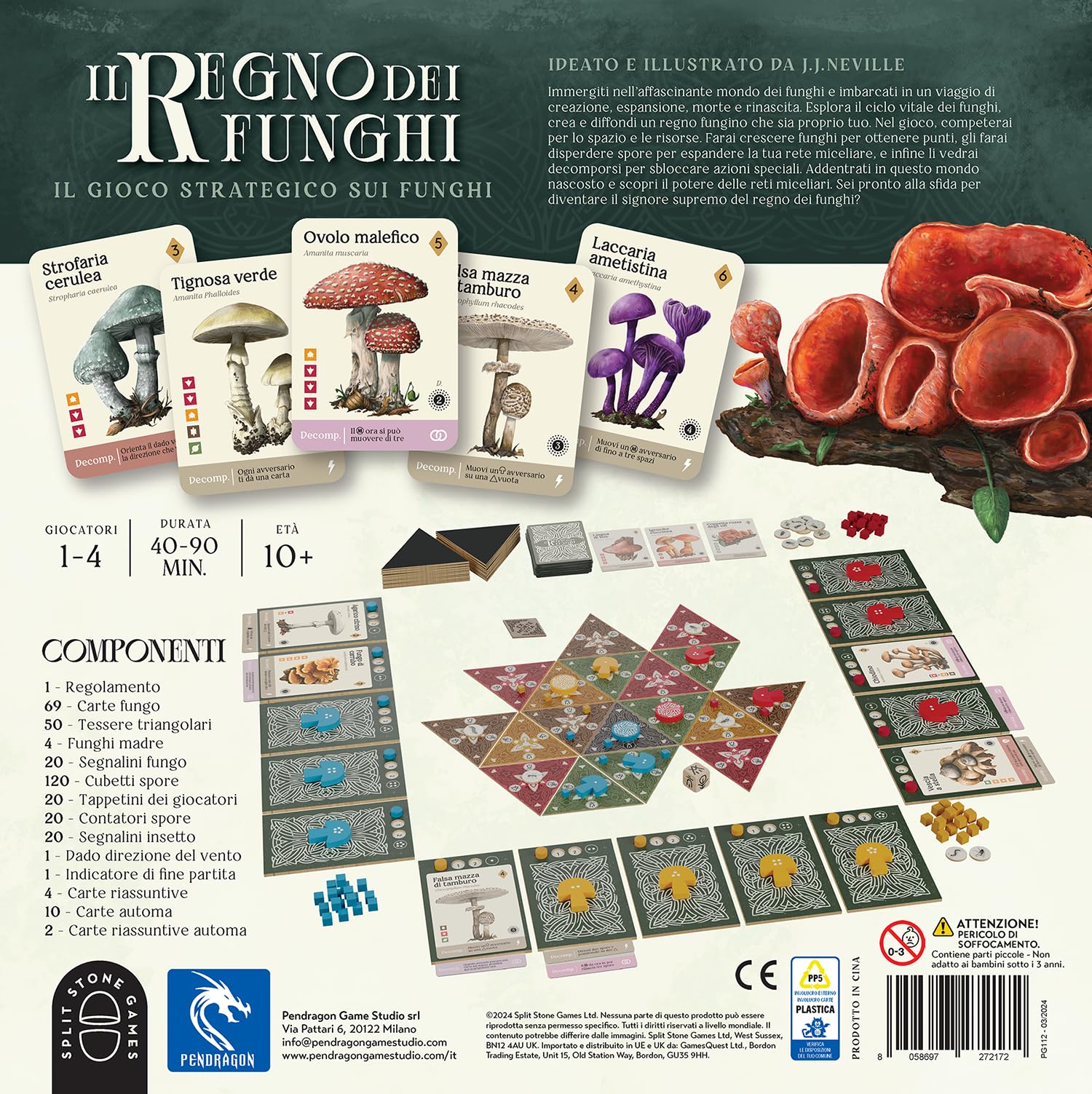 Pendragon - Il Regno dei Funghi - Edizione italiana - Gioco da tavolo, Età 10+,1-4 Giocatori