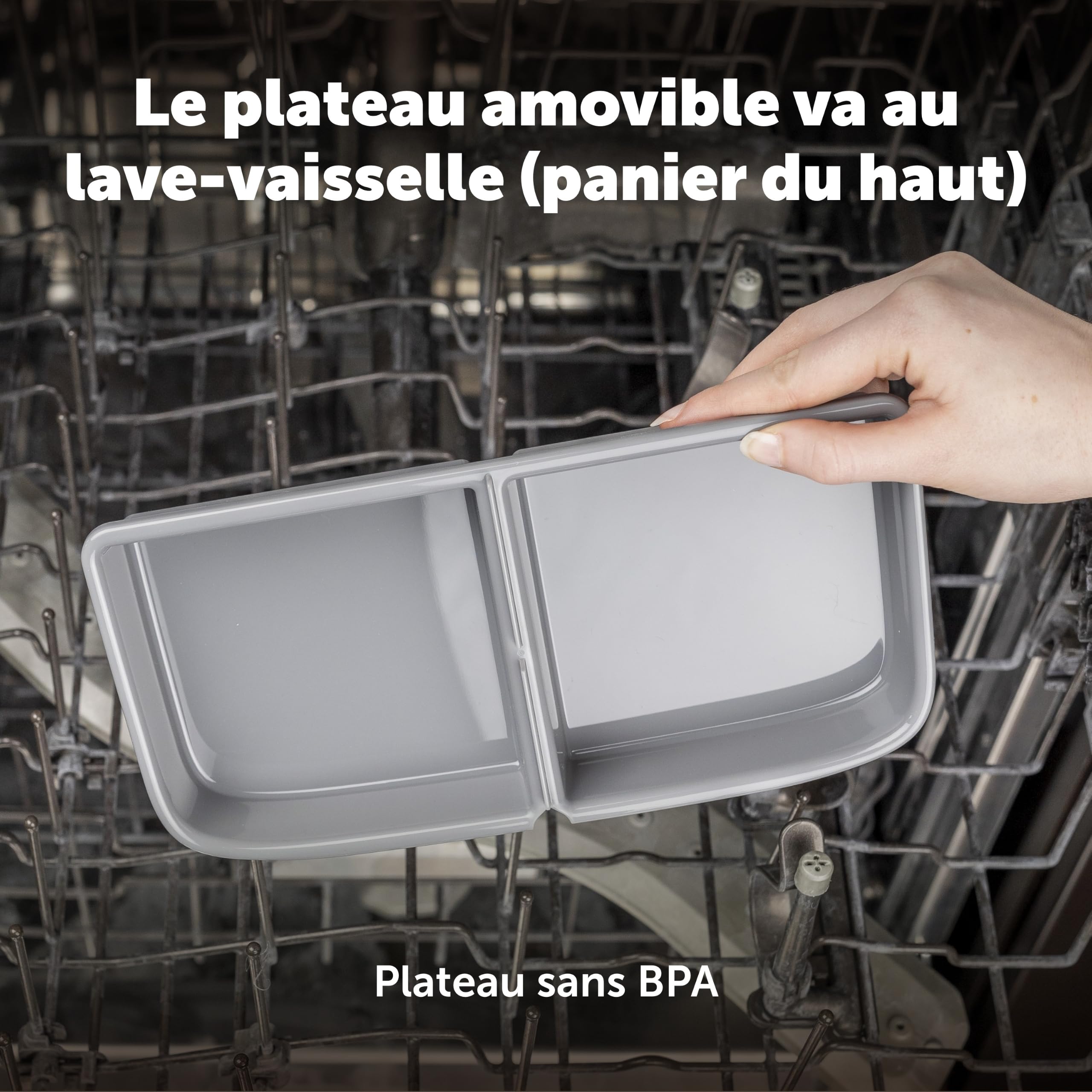 PetSafe ‎PFD19-17005 Mangeoire Automatique à 2 Repas, minuteries intégrées, Bol de Nourriture sans BPA, adapté aux Aliments secs