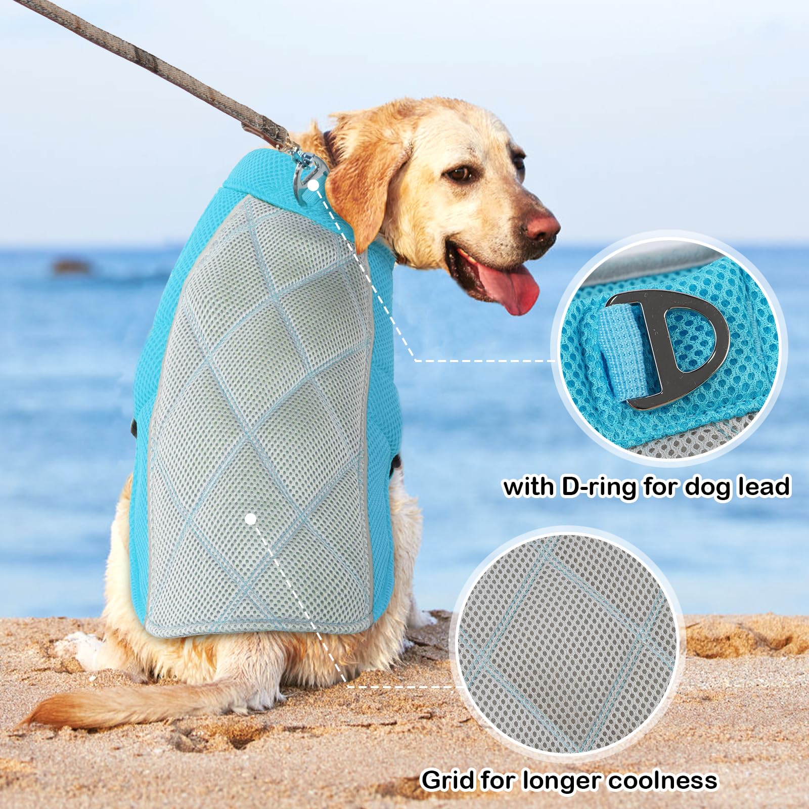 Gilet Rafraichissant pour Chien, Manteau Confortable de Refroidissement Respirant Harnais pour Journées Chaudes d'Eté, Bleu S