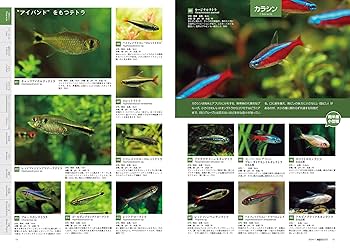 アクアマガジン　　37冊 アクアマガジン37冊