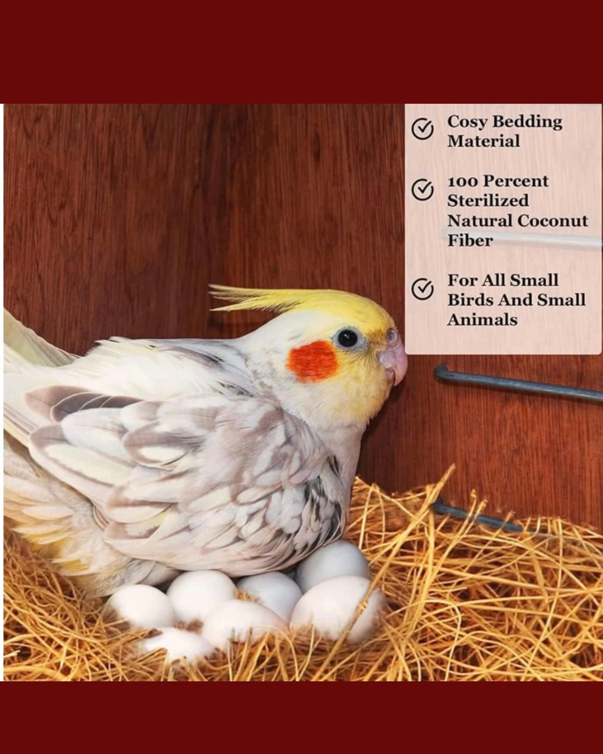 ONELINK MALL Natural Coconut Fiber Nesting Material/Bright Adult Coco Fiber Nesting Material for Birds for Making Nest, Laying Eggs Breeding As Natural Nest (Brown, 100 gm) 2