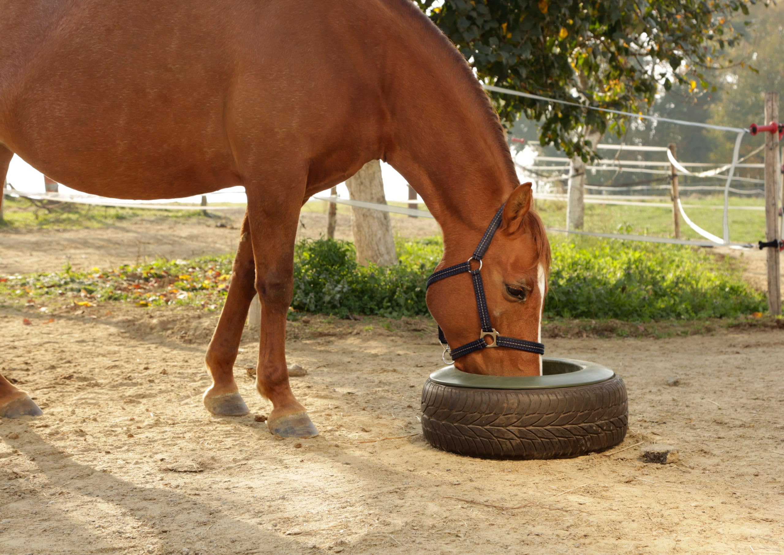Kerbl Tyre Trough 15 Litre