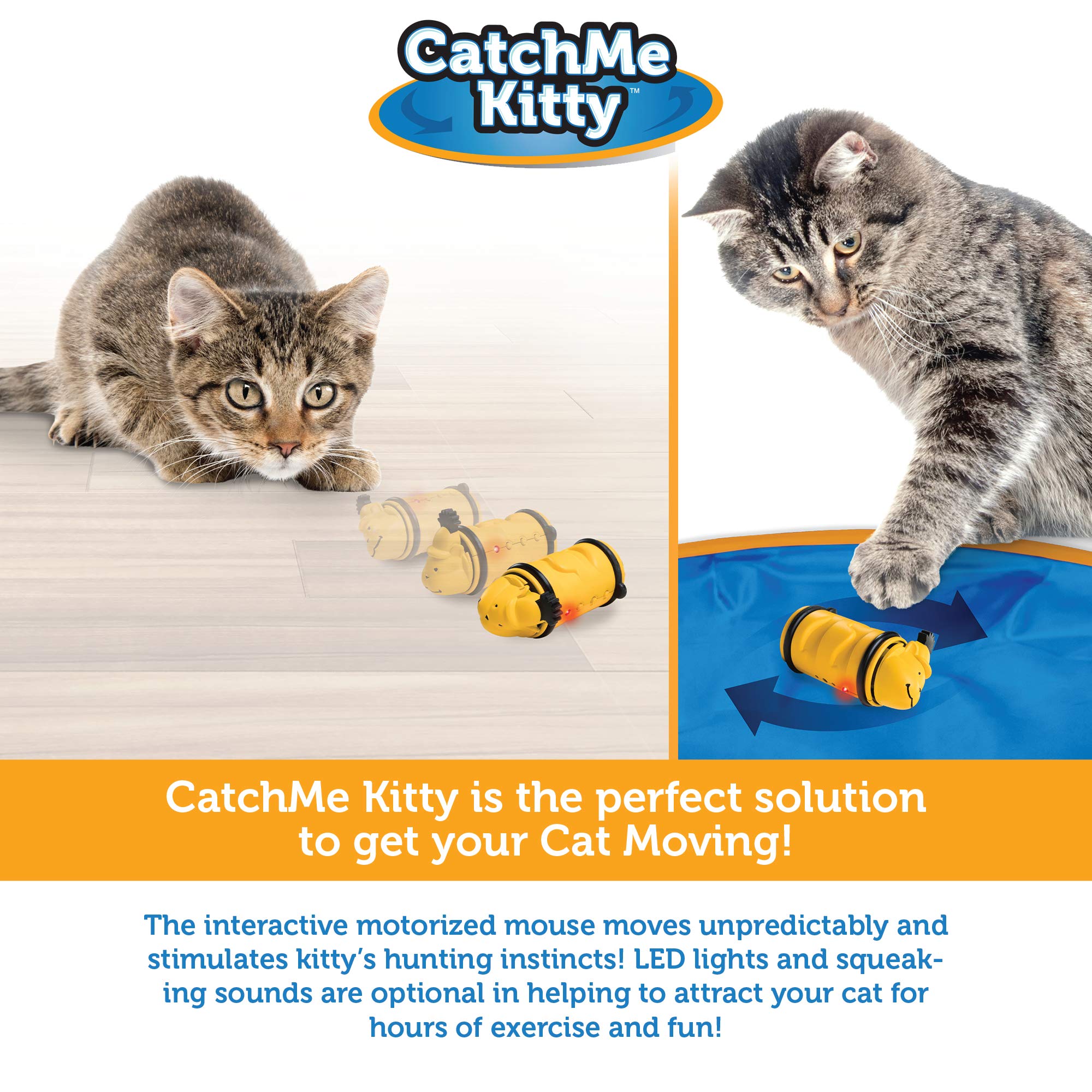 Catch Me Kitty Interactive Cat & Mouse Toy, Electronic Mouse with
