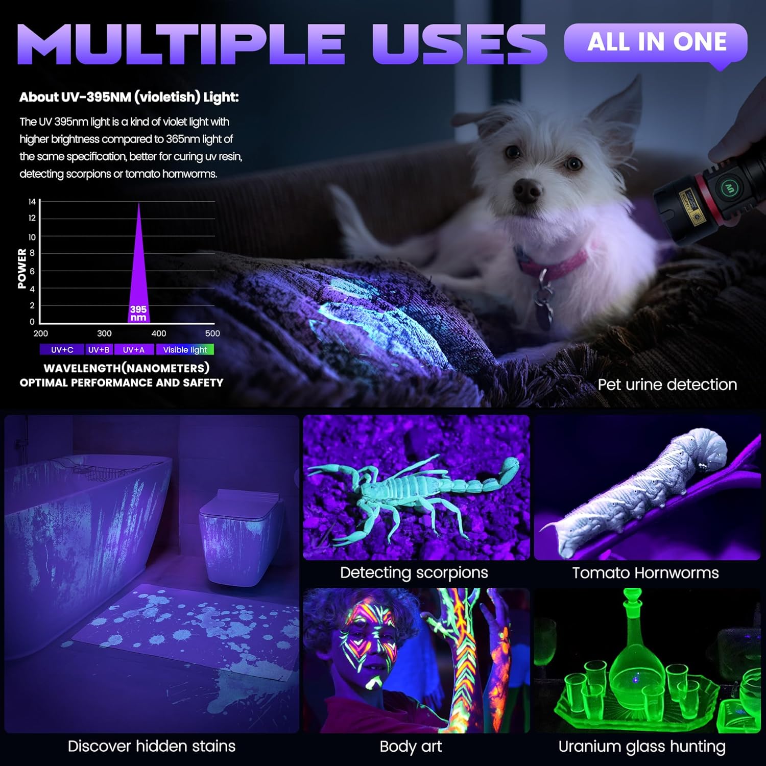 Image showing various applications of the UV flashlight, including pet urine detection, scorpion detection, uranium glass hunting, and discovering hidden stains.