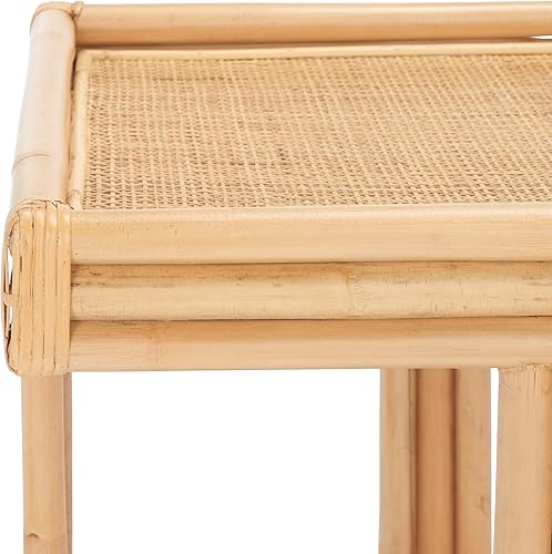 Miniatura 6 de SAFAVIEH Home Collection ACC6501 - Mesa decorativa, color natural