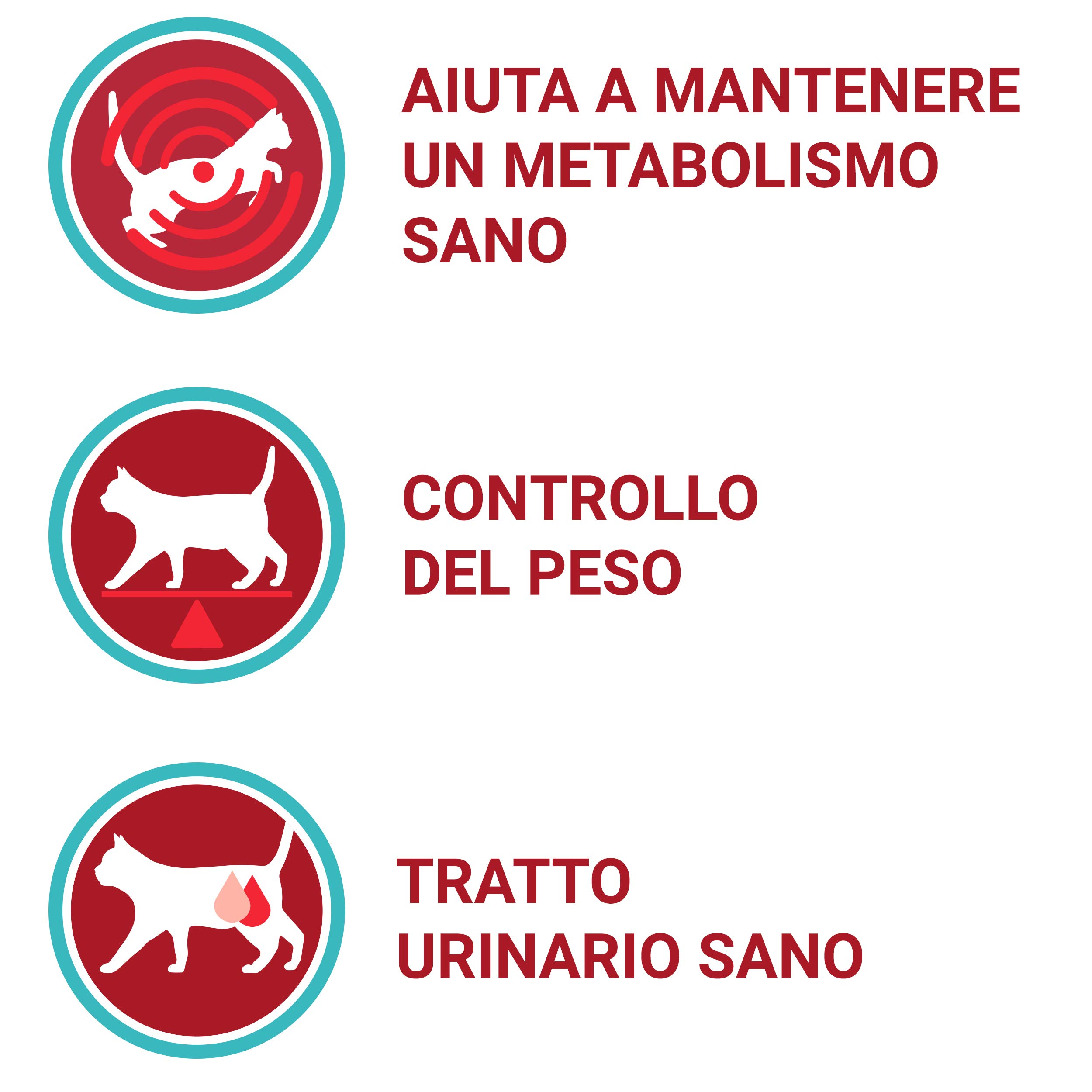 Purina ONE Bifensis Karma dla dorosłych sterylizowanych kotów z wołem i pszenicą, 8 worków 800g