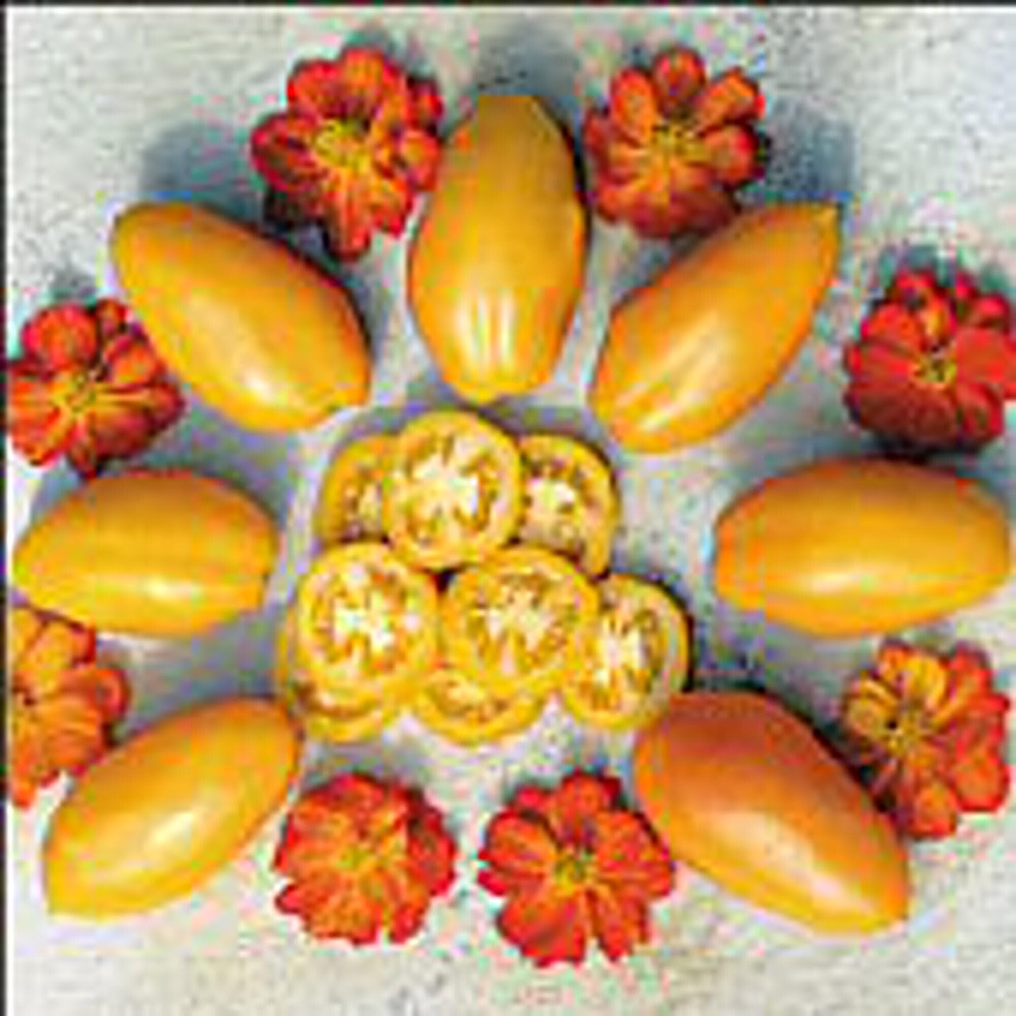 Orange Banana Tomato Seeds (45 Seeds) Seeds for Planting, Farm, Growing in Garden, Greenhouse, Vegetable, Fruit