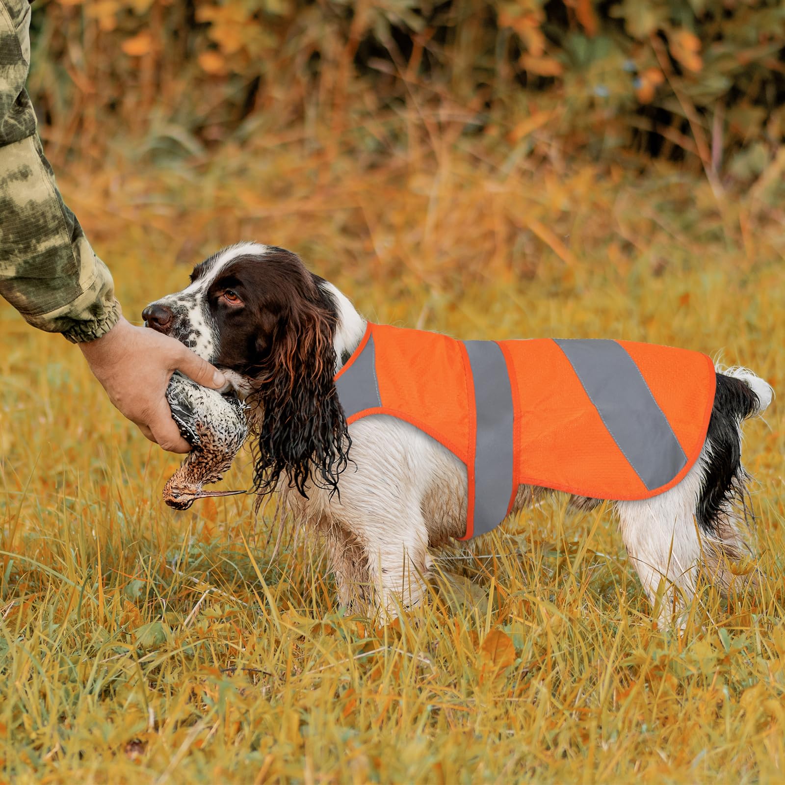 Hunting Vest Browning Dog Vest Orange Dog Safety Vest Browning Pet