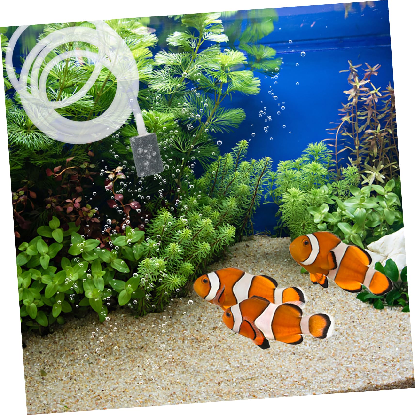 2St tragbare luftpumpe USB Sauerstoffpumpe USB-Luftpumpe Tank- Luftpumpe für Aquarien Belüftungspumpe für Fischbecken Sauerstoff-Aquarium-Luftpumpe Mini Belüfter ABS Weiß