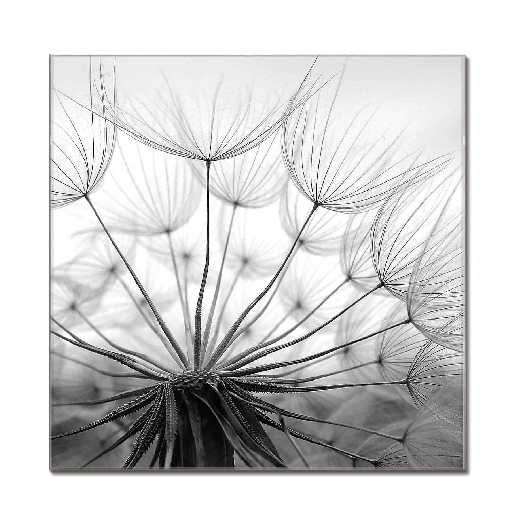 Banjado Glas-Magnettafel 50x50cm – Mit Motiv ‚Pause‘, Beschreibbar & Magnetisch, Inkl. 4 Magneten