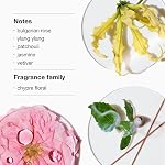Clinique Aromatics Elixir Eau de Parfum Spray -Notes de Rose Bulgare, Ylang Ylang, Patchouli, Jasmine + Vétiver