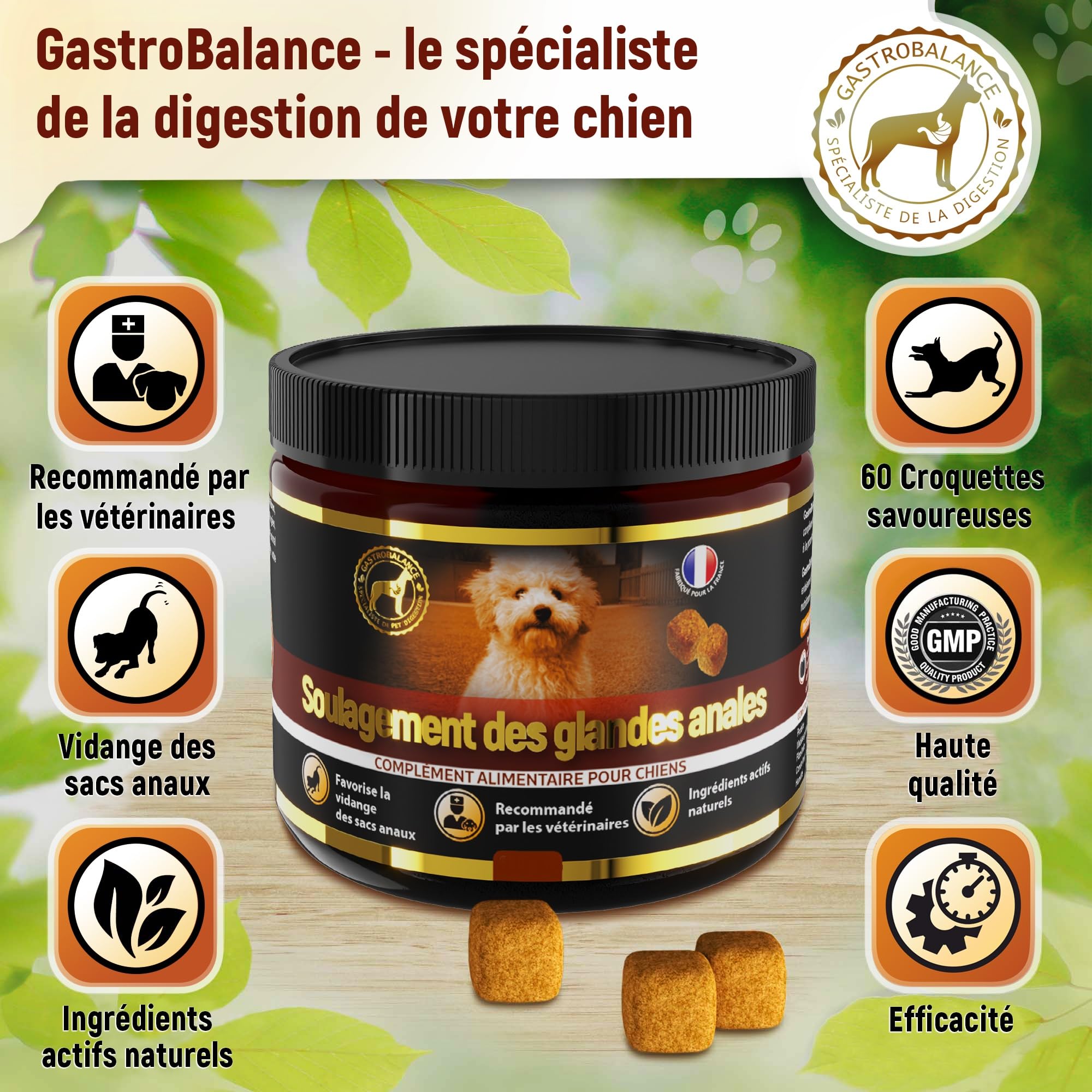 Tratamiento glándula Perro - 60 croquetas que vacían Bolsas glandulares del Perro - Sabor Bacon (Español)