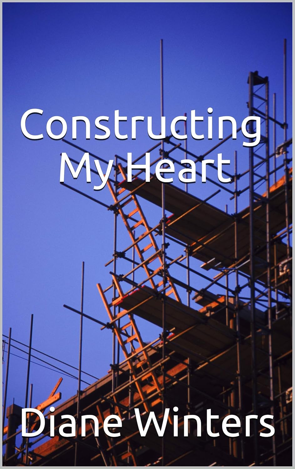 Constructing My Heart      Kindle Edition