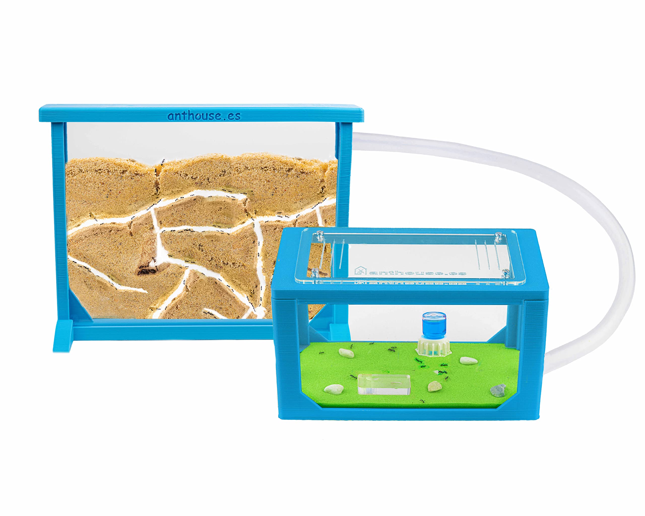 AntHouse - Natural Sand Ant Farm | 3D Medium Kit (Sandwich + Forage Box) | Color Blue โ image 1