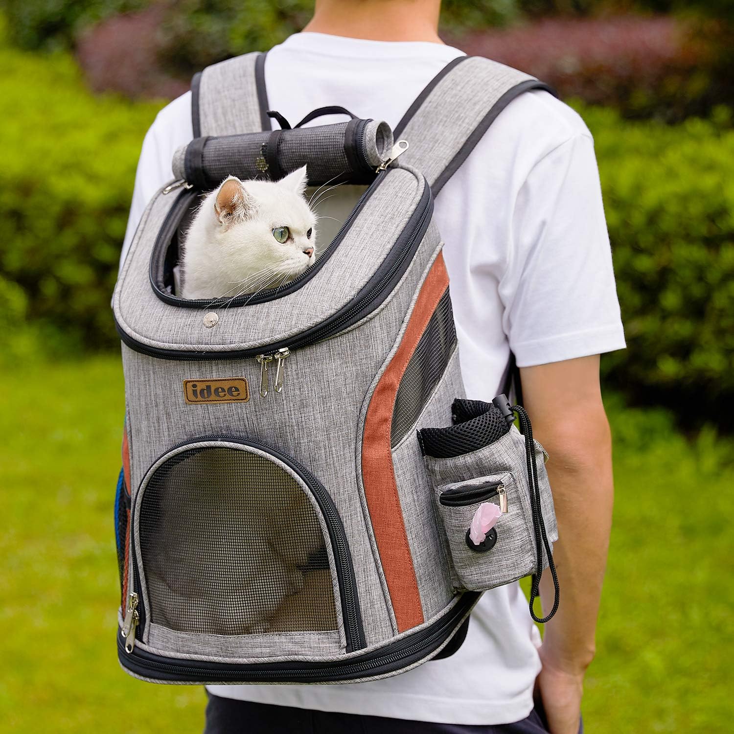 cat backpack