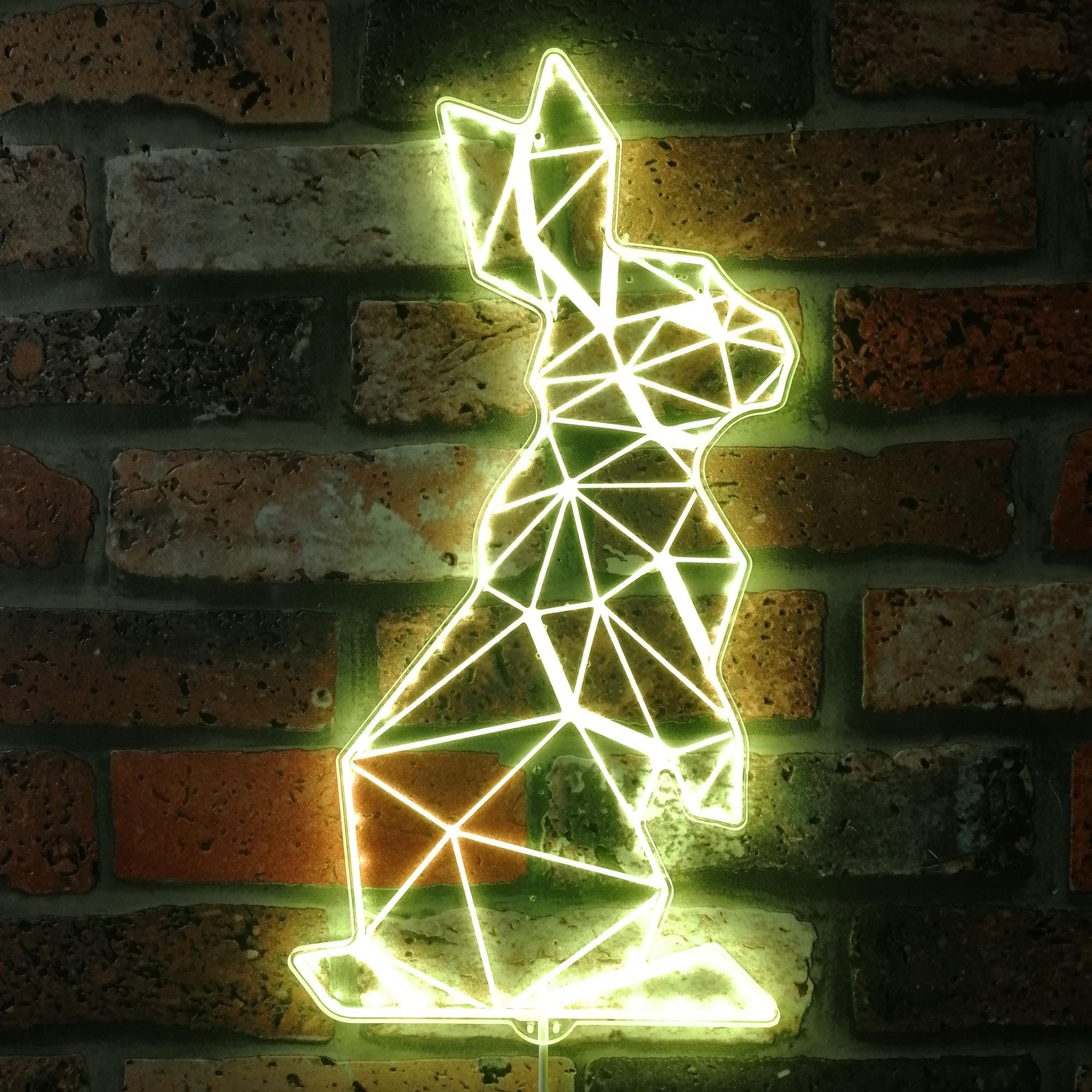 ADVPRO Rabbit Geometric RGB Dynamic Glam LED Sign - Cut-to-Edge Shape - Smart 3D Wall Decoration - Multicolor Dynamic Signage st06s84-fnd-i0285-c