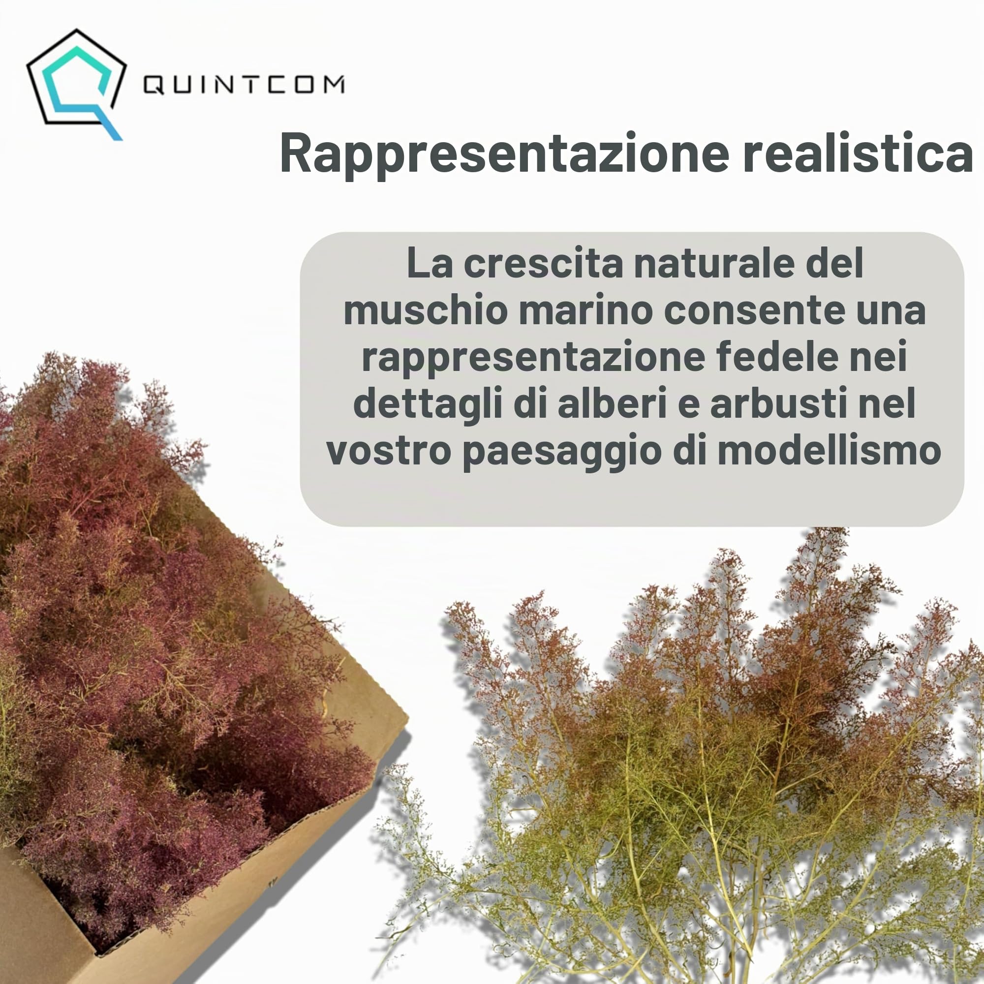 Sea Moss per modellismo, materiale di piantagione per alberi e cespugli nei boschi di modellismo, cartone 30 cm x 20 cm x 14 cm