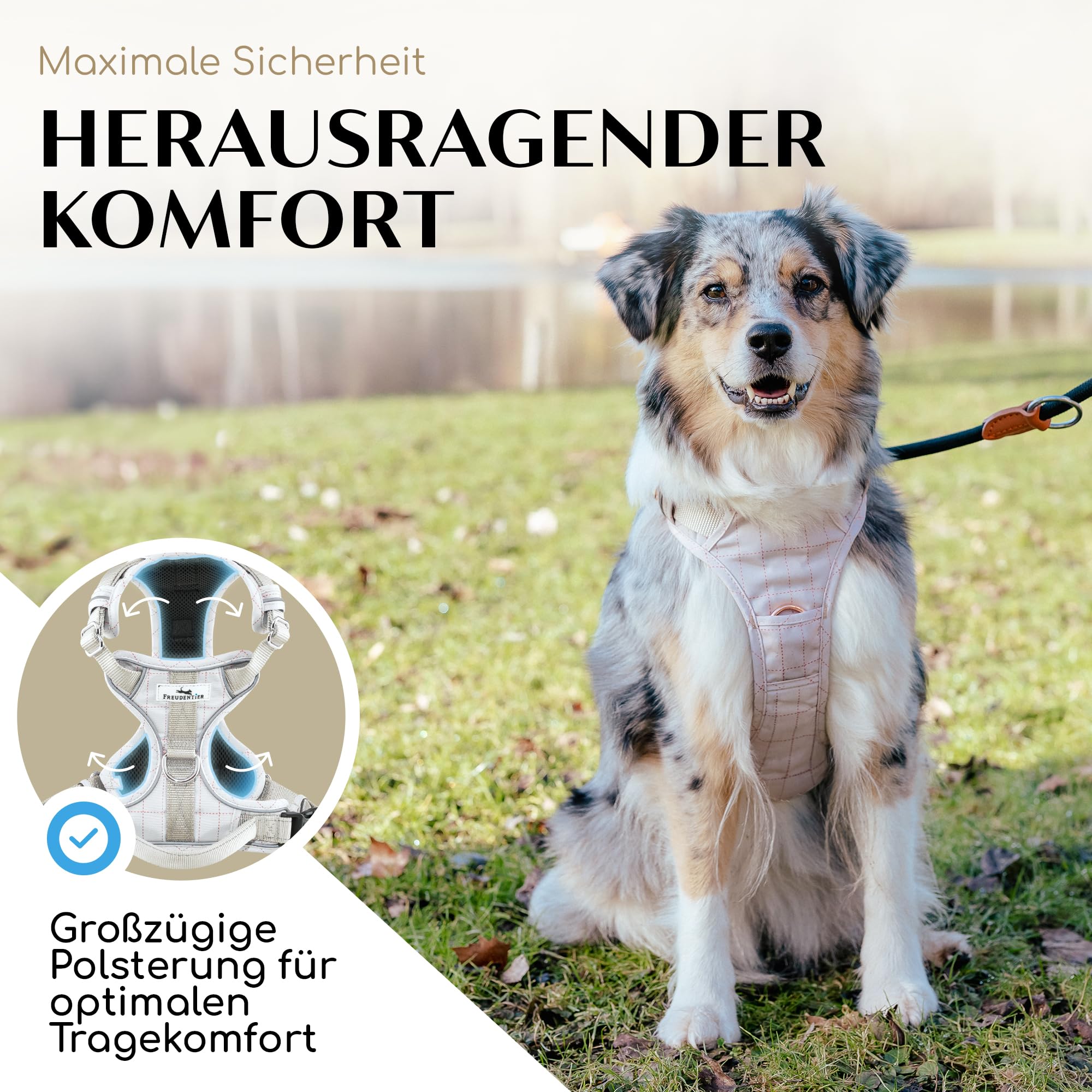 FREUDENTIER Hundegeschirr mit Griff, atmungsaktiv gepolstert - Bombenfester Sitz & maximale Sicherheit - Anti Zieh Brustgeschirr kleine, mittelgroße & Grosse Hunde