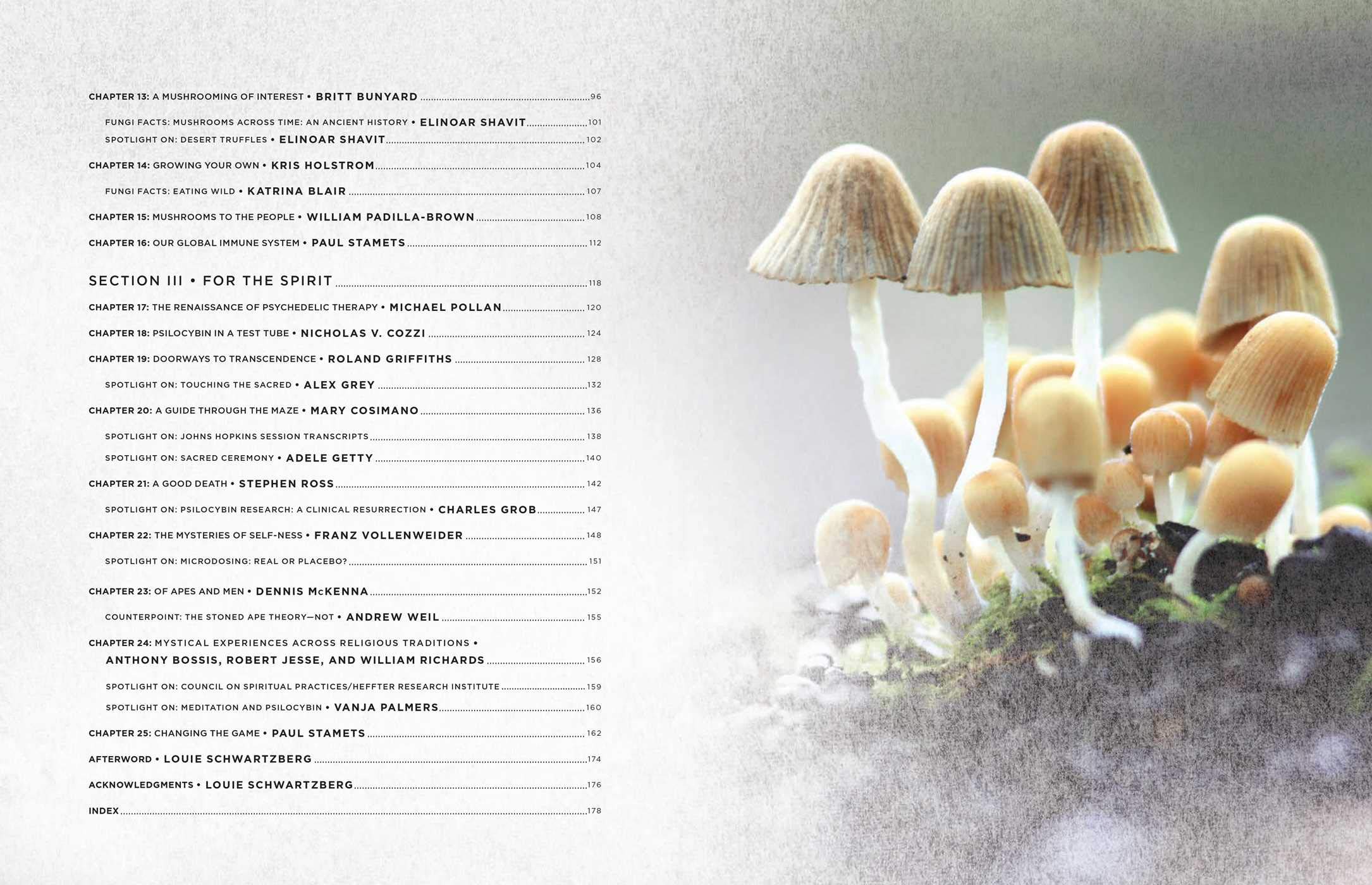 Fantastic Fungi: How Mushrooms Can Heal, Shift Consciousness, and Save the Planet