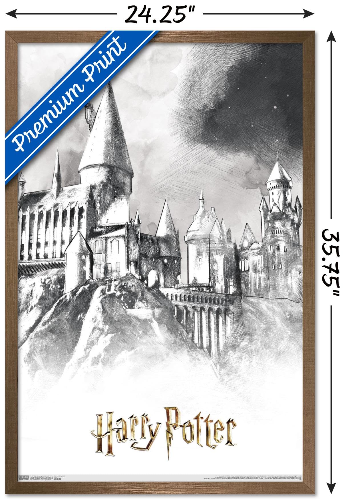 Amazon.co.jp: Trends International The Wizarding World