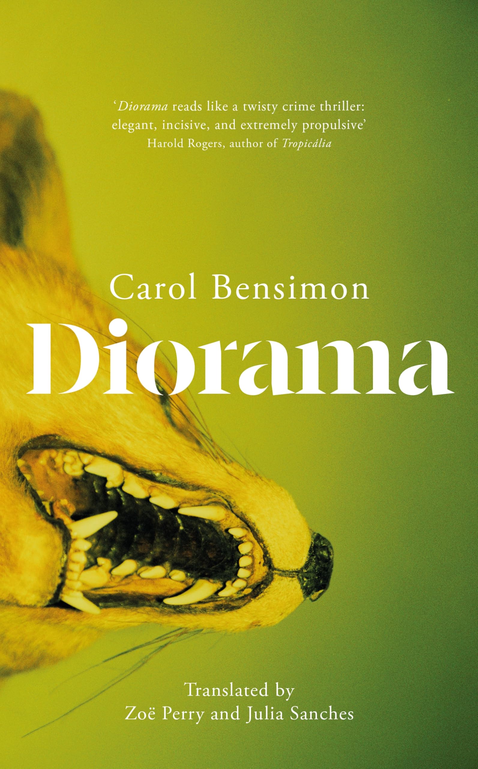 Diorama: an engrossing suspense novel set in 1980s Brazil