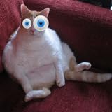 Squishy Cat