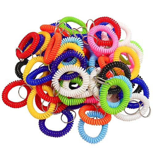 60 Pcs Wristlet Keychain Bracelet Colorful Spring Spiral Wrist Coil,Plastic