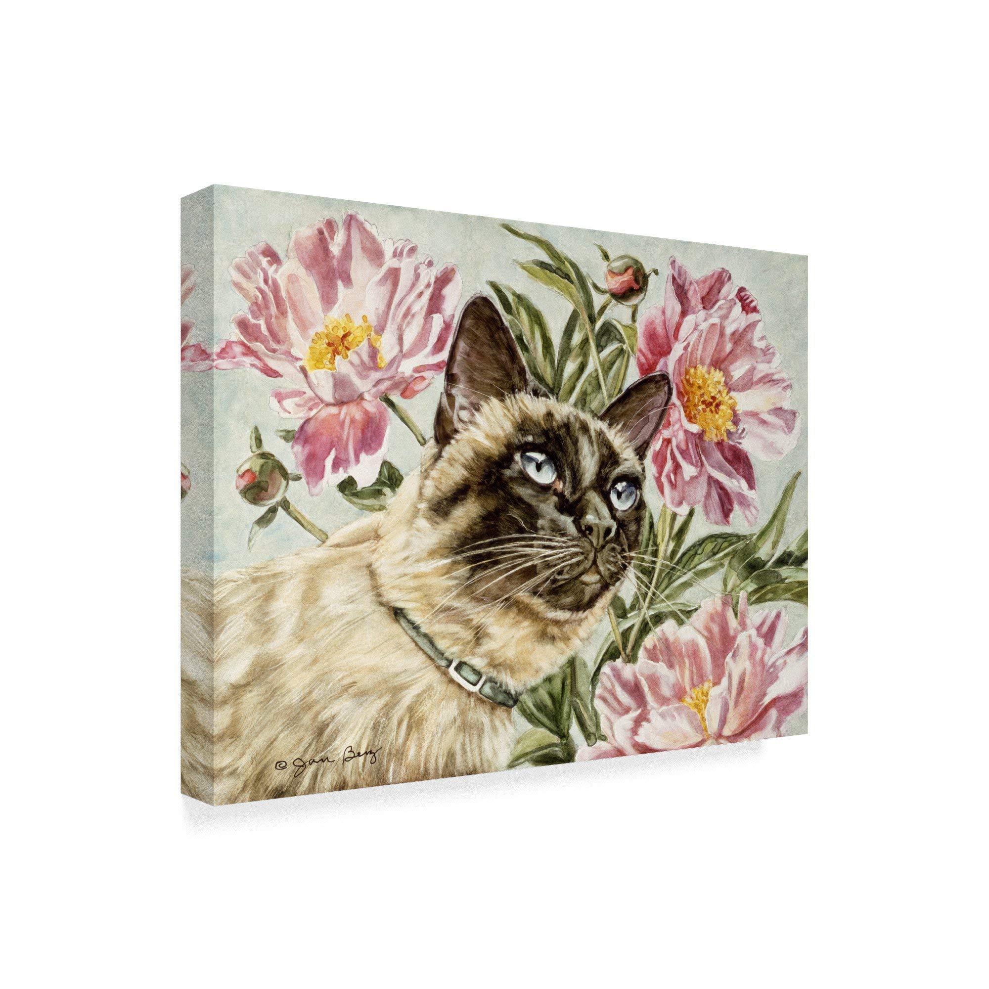 Trademark Fine Art ALI36345-C2432GG Fine Art, 24x32-Inch, Multicolor