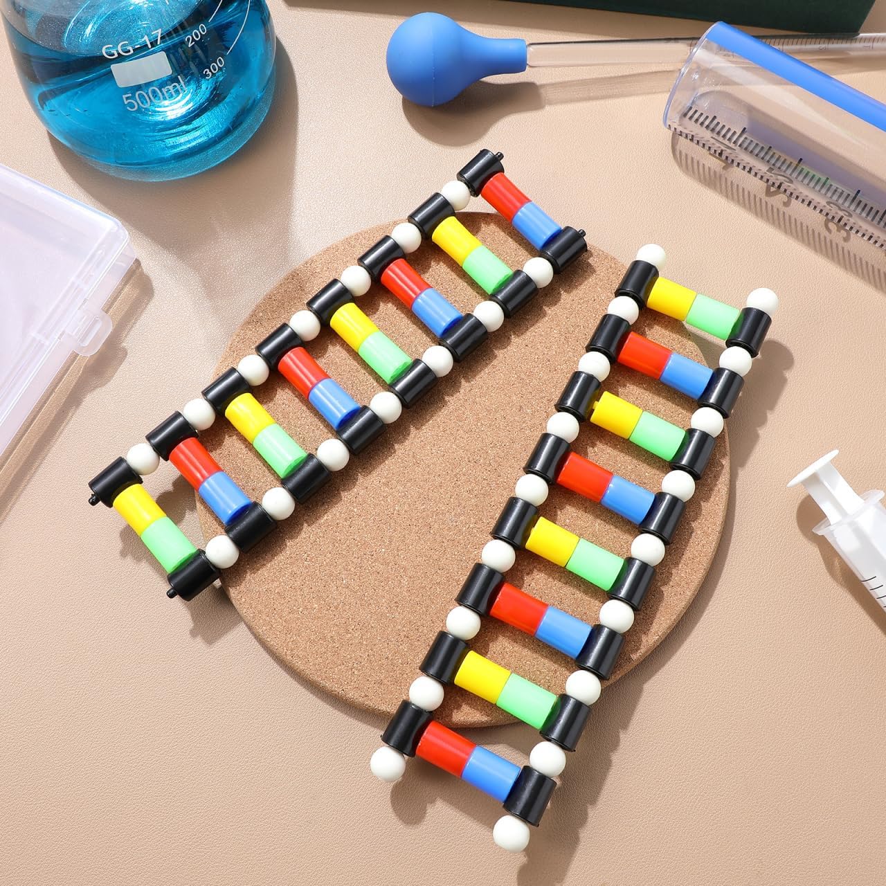 ibasenice DNA Model Double Helix Model Molecular Kit for Science Class Removable Biology Teaching Aid for Classroom Display Genetics Lessons Student Learning Science Education Toys image 3