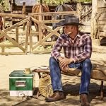 J's.o.l.e Western Cowboy Boots Men Square Toe Botte Cowboy Homme Stylish Ankle Chelsea Boots Brown Black Tan
