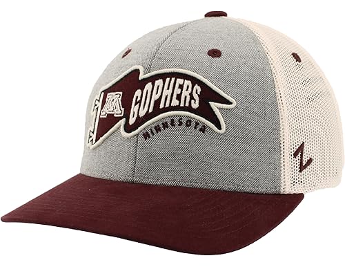 Top 10 Picks for Minnesota Golden Gophers Fans in Search of the Best Gear and Accessories (2024)