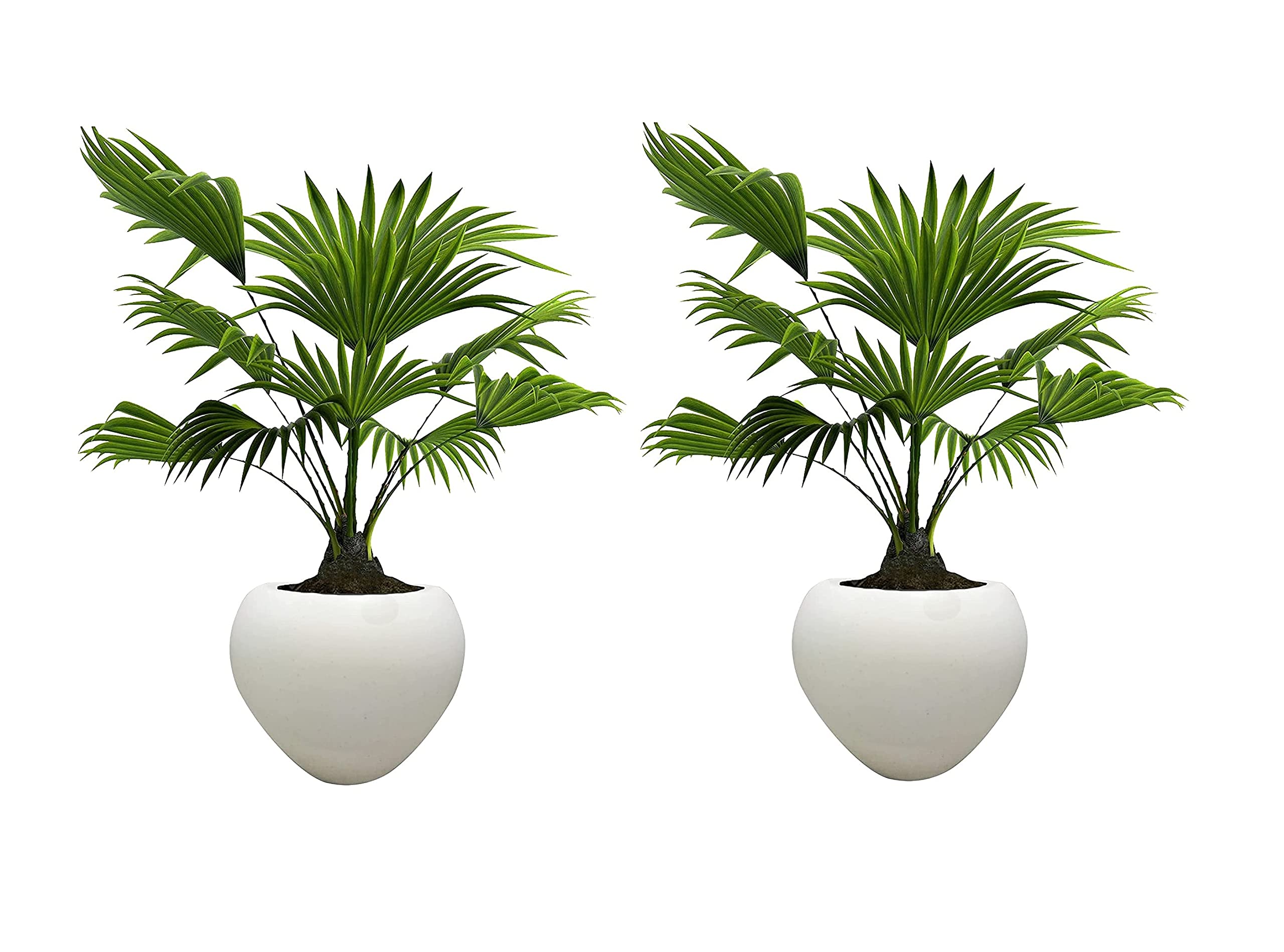 Clastik Small Size, White Apple Shape, Plastic Pot for Home Decor, Table (Height- 6 Inch, Pack of 4) (B08S3JXKT1) Amazon Price History, Amazon Price Tracker