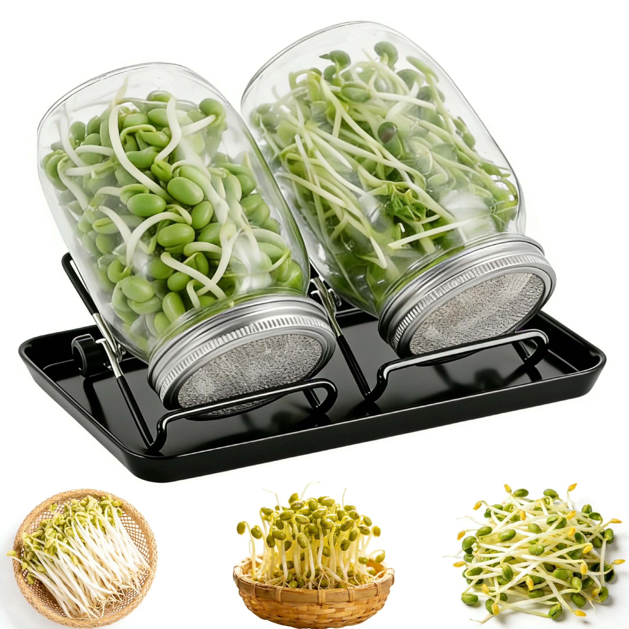 Sprouting Jar Kit – 1 Quart Wide Mouth Mason Jars with Stainless Steel Mesh Lids, Microgreens Growing Kit & Seed Sprouter for Broccoli Sprouts Seeds, Alfalfa & Mung Bean