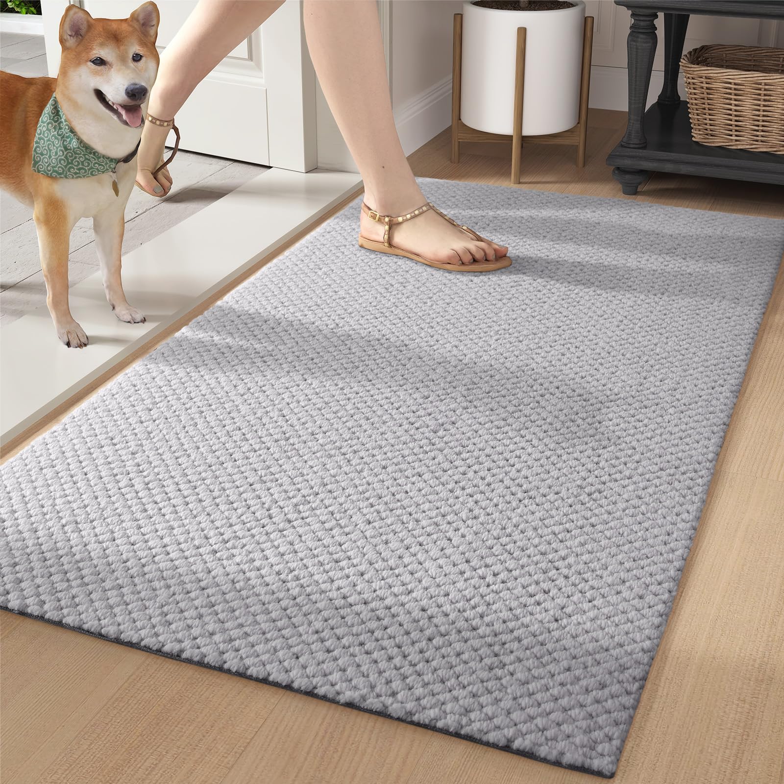 Color G Door Mat Entryway Rugs Indoor - Absorbent, Low Pile, Heavy-Duty, Easy Clean - 24"x36" Indoor Mat Throw Rug, Soft Rugs for Bedroom Bedside Rug Neutral Area Carpet (Light Grey)