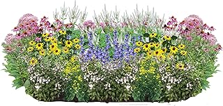 32 Outdoor Native Plants for Full Sun & Wet Ground – Includes Brown-Eyed...