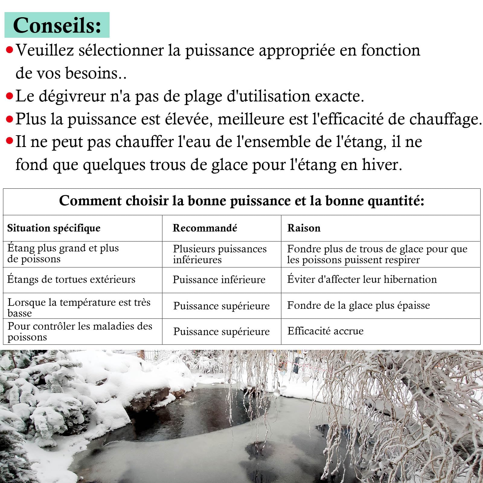 Chauffage de Bassin Extérieur 150W 300W 600W Chauffage d'Aquarium pour Petits Bassins, Kio Pond, Dégivreur de Bassin avec Long Câble et Mousse Flottante (600W)