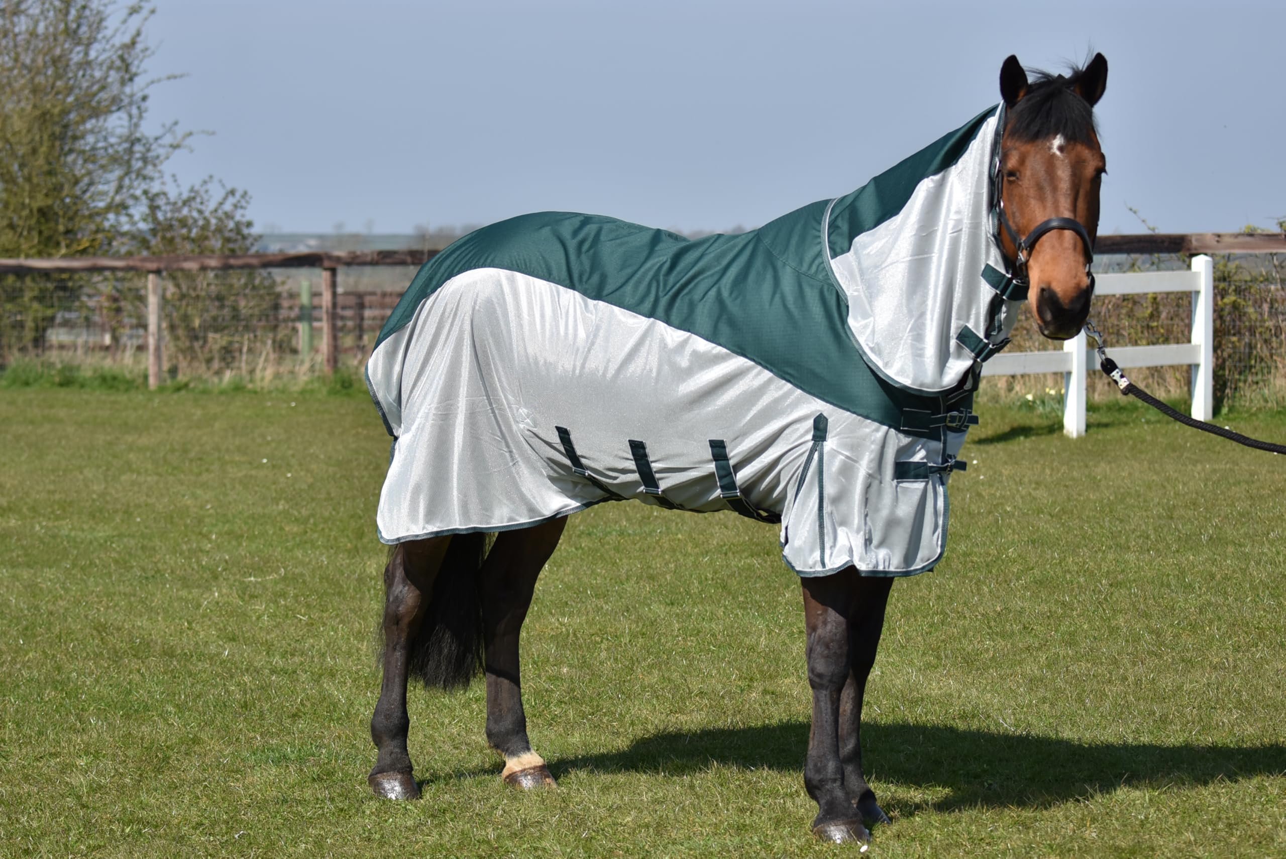Autumnn Equestrian Horse Fly Rug With Turnout Top Waterproof Fly Rug Lightweight 600 D Fly Rug With Free Fly Mask (5'6'')