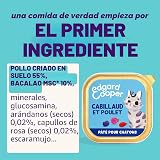 Ver la foto 2