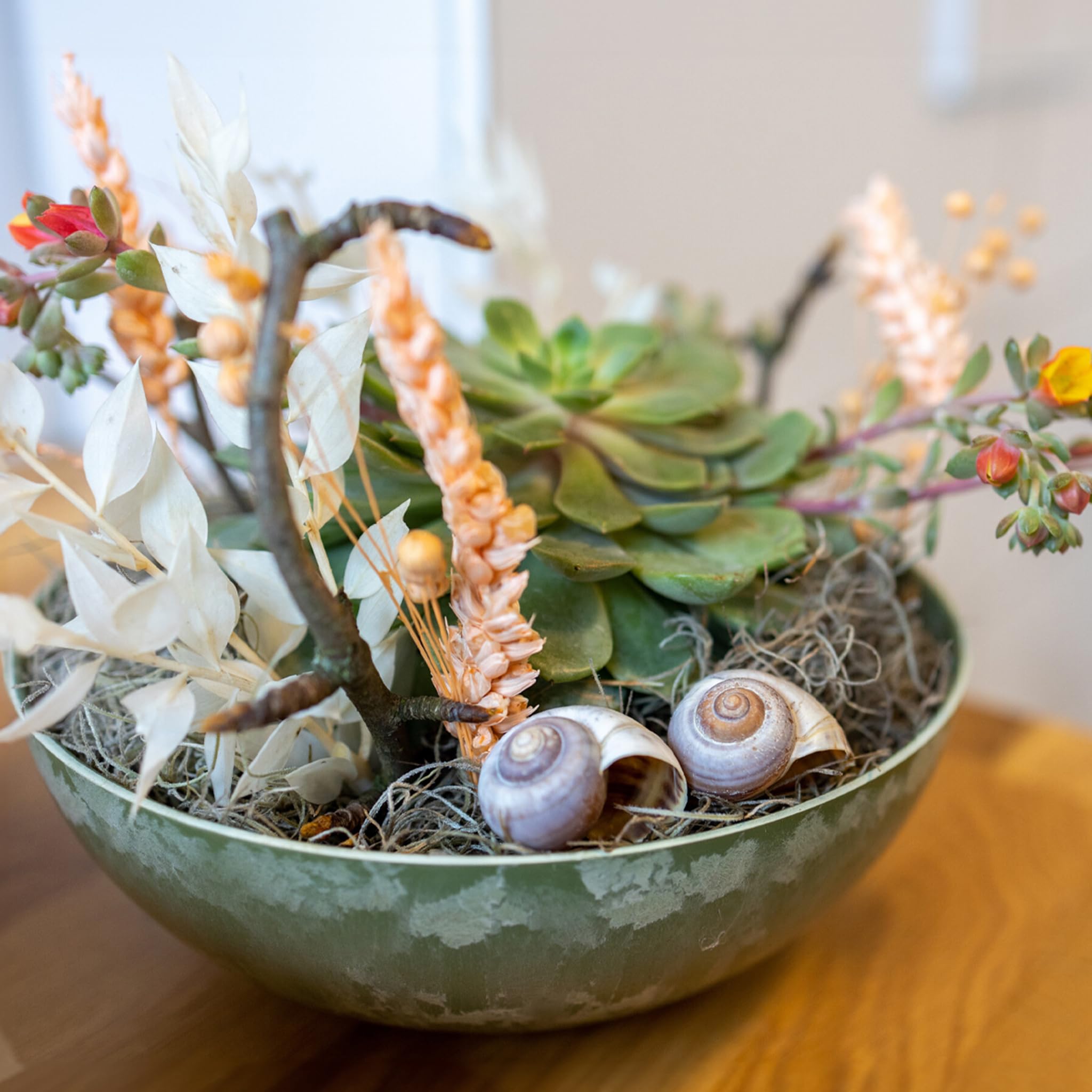 Fiori e Piante per il cimitero che durano nel tempo: le più resistenti
