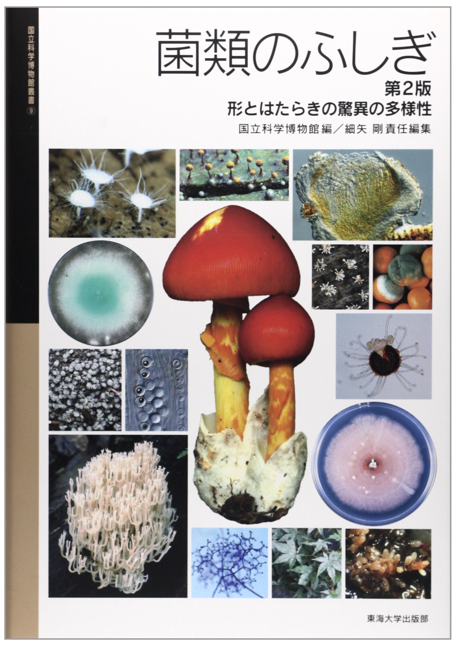 菌類のふしぎ 第2版: 形とはたらきの驚異の多様性 (国立科学博物館叢書