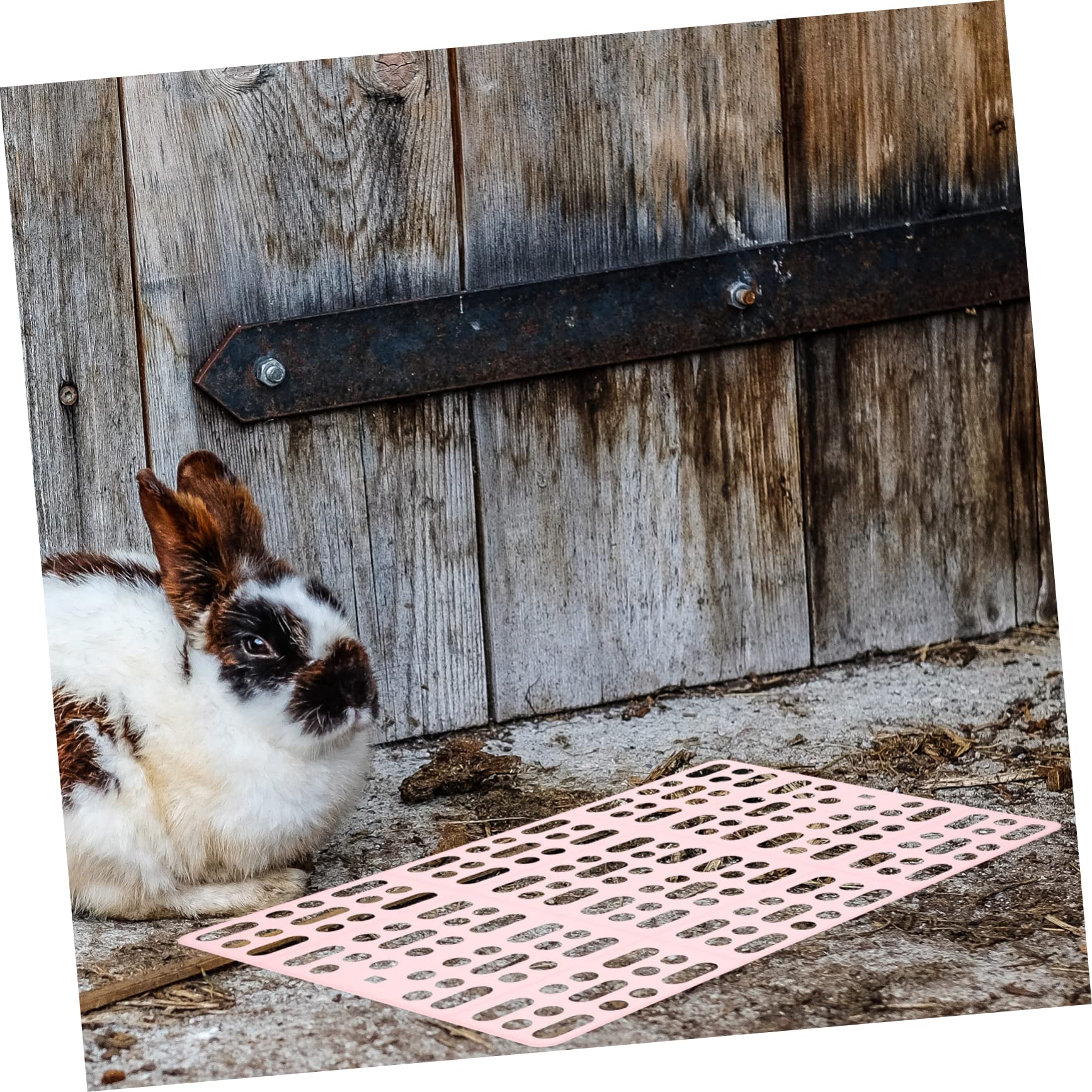 Gabbia Per Conigli PawHut A 2 Livelli - 147x45x89.5 Cm, Con 6 Ruote, Rampa E 3 Vassoi, In Legno Di Abete Grigio - Foto 8